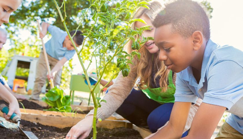 Maria-Gress-Schule Iffezheim