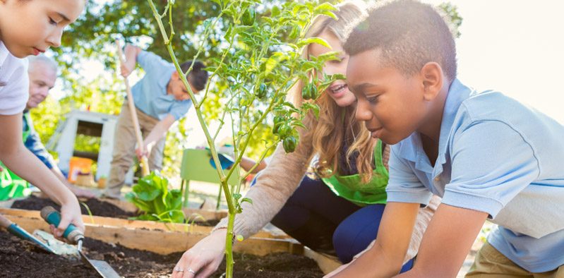 Maria-Gress-Schule Iffezheim