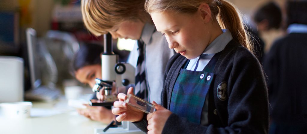 Maria-Gress-Schule Iffezheim