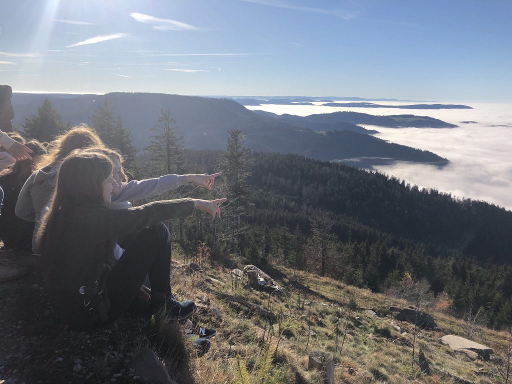 Maria-Gress-Schule Iffezheim