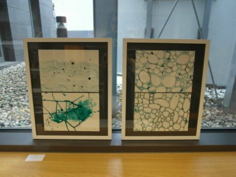 Maria-Gress-Schule Iffezheim