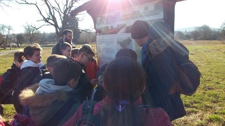 Maria-Gress-Schule Iffezheim