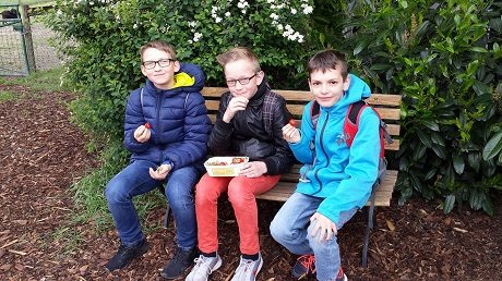 Maria-Gress-Schule Iffezheim