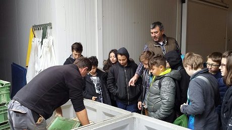 Maria-Gress-Schule Iffezheim