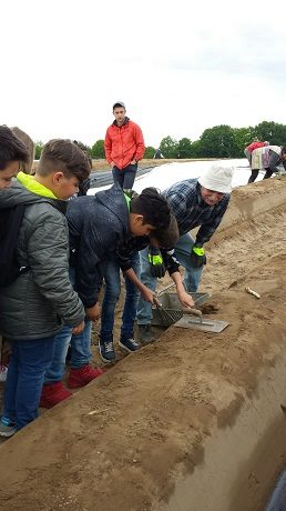 Maria-Gress-Schule Iffezheim