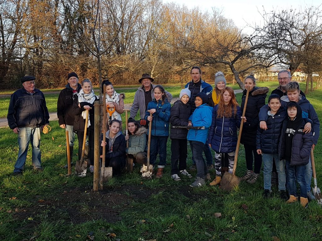 Maria-Gress-Schule Iffezheim