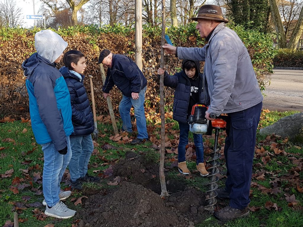 Maria-Gress-Schule Iffezheim