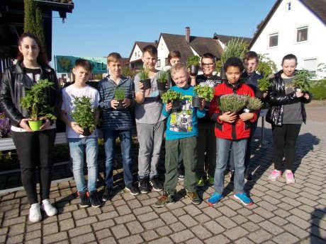 Maria-Gress-Schule Iffezheim