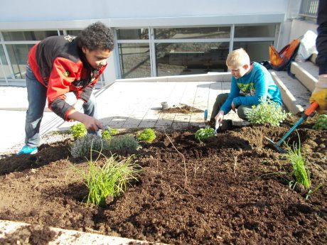 Maria-Gress-Schule Iffezheim