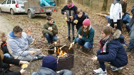 Maria-Gress-Schule Iffezheim