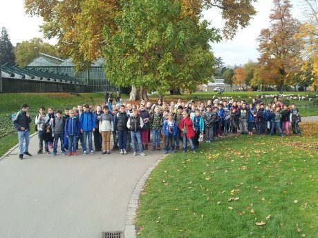Maria-Gress-Schule Iffezheim