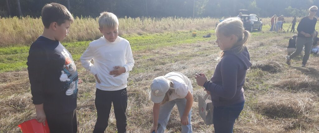 Maria-Gress-Schule Iffezheim
