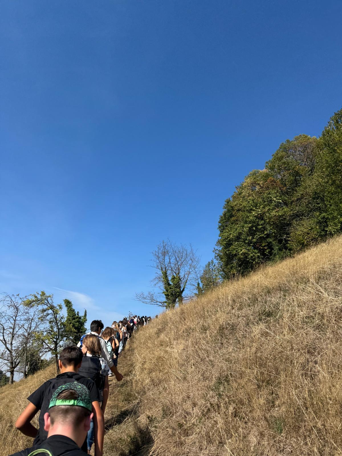 Schülerinnen und Schüler wandern hintereinander einen Wiesenhang hinauf